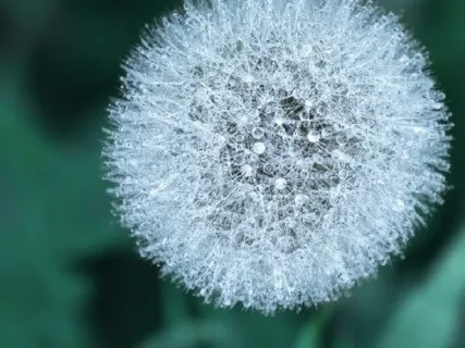 Experience Deep Relaxation & Stillness  - 5-Minute Daily Insight