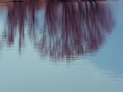 Experience Deep Relaxation & Stillness - 10 Min Daily Insight