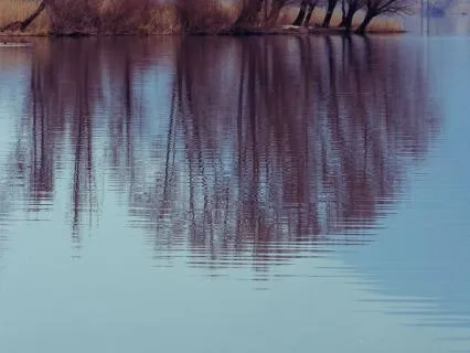 Experience Deep Relaxation & Stillness - 20 Min Daily Insight