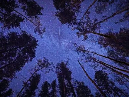 Experience Deep Restorative Sleep