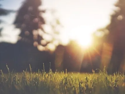 Experience Gratitude As Feeling And Sensation