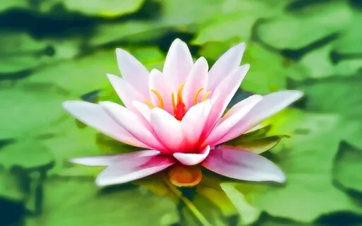 Experience Instant Calm With 741Hz