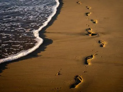 Experience Mindfulness - First Steps