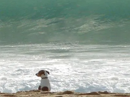 Experience Oneness With Alpha Binaural + Ocean Waves