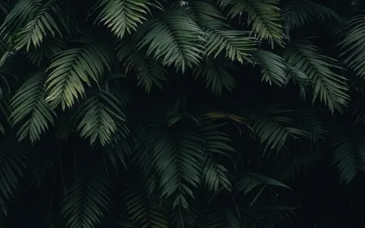 Experience Real Peace With 432 Hz Relaxation Music