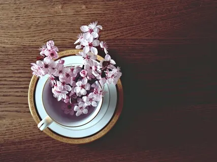 Experience Stillness