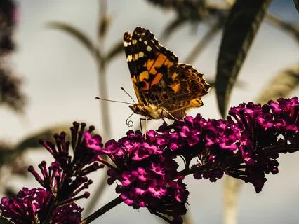 Experience Synchronicity Subliminal Affirmations