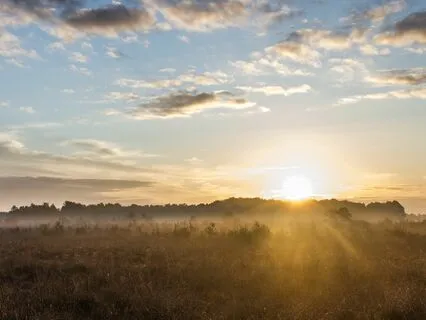 Experience The Consciousness And Energy Of The Sun