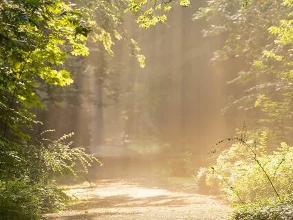 Experience The Consciousness Of The New Earth