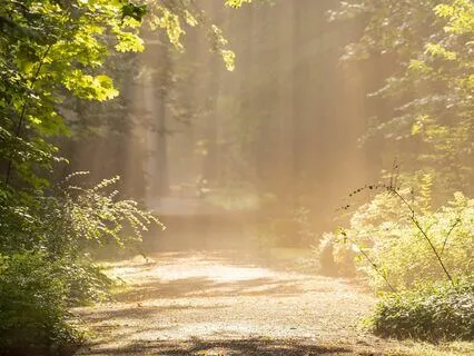 Experience The Consciousness Of The New Earth - Music