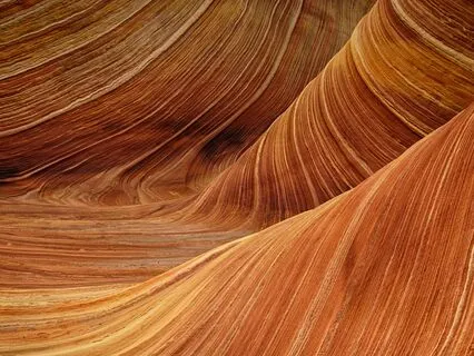 Experience The Cosmic Body – The Physical Aspect From Source