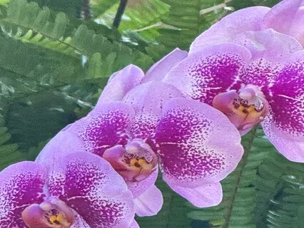 Experience The Miracle Of Life