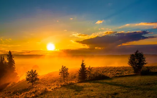 Experience The Miracle Of Your Five Senses 