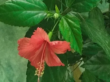 Experience The Power Of Void