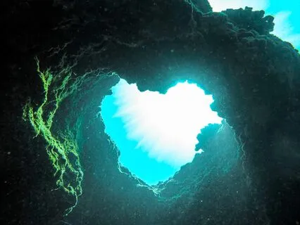 Experience The World As Pure Energy