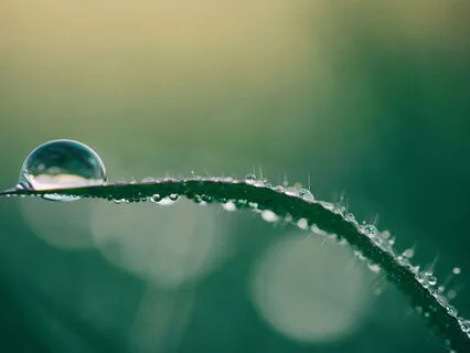 Experience Timeless Peace