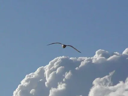 Experience True Peace Through Entering The Formless Void