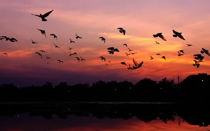 Experience Wellness With This Sleep Music, 528Hz