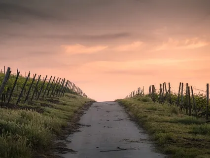 Experience Yoga Nidra - A Fifteen Minute Practice