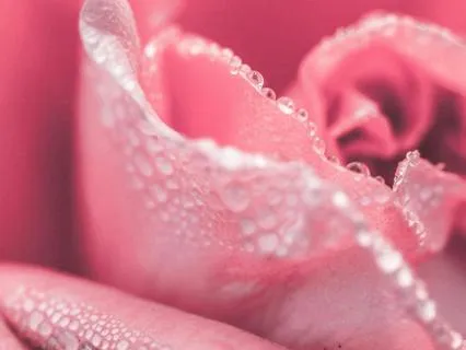 Experience Your Body As A Friend And Not An Enemy