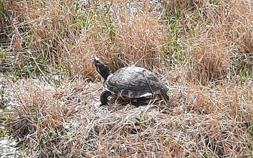 Experience Your Future Place Of Business