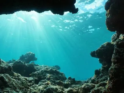Experience Your Mind Like An Ocean