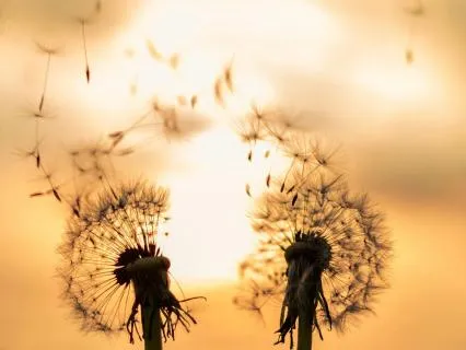 Experiencing And Connecting To The New Earth Grid Frequency