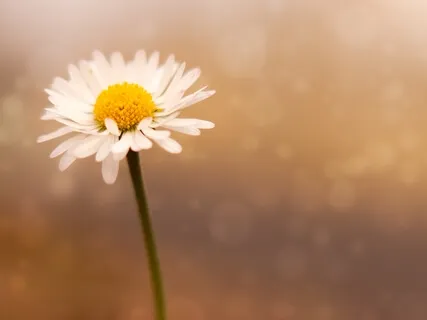 Experiencing Anger To Release It