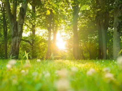 Experiencing Divine Mother’s Spirit Energy