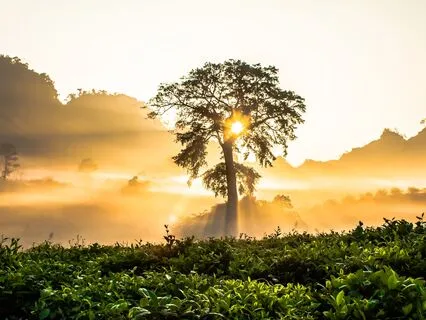 Experiencing Divine Son’s Physical Energy