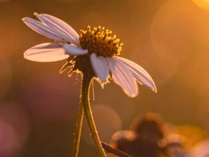 Experiencing Freedom Beyond Attachment And Control