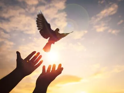 Experiencing God In Everything