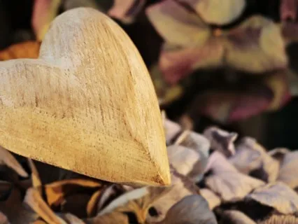 Experiencing Gratitude