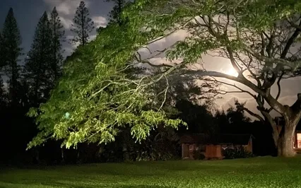 Experiencing Noticing With Gentleness & Kindness