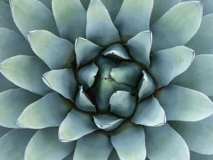 Experiencing Oneness: A Journey Into Infinite Connection