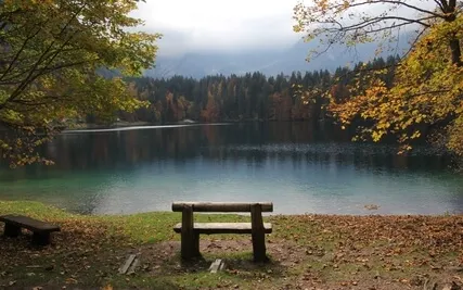 Experiencing Presence