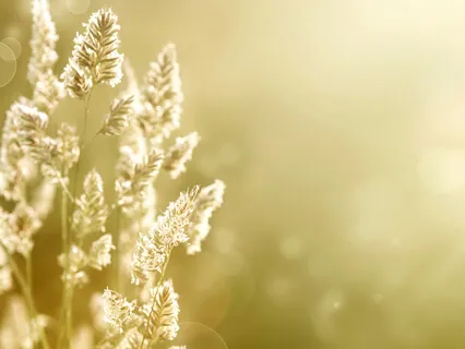 Letting Go Of Judgments