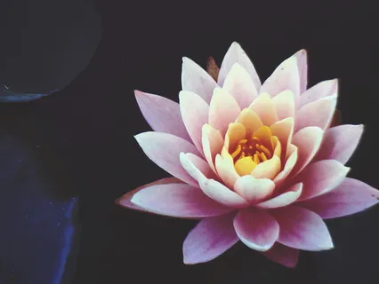 Experiencing Restoration