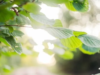 Experiencing Safety & Love - Receiving Kind Eyes