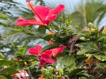 Experiencing That Place Of Peace Within