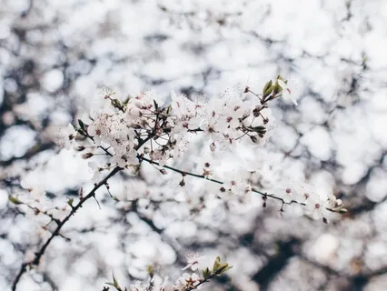 Experiencing The Gift Of Life