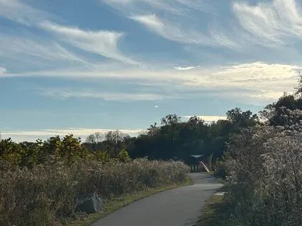 Experiencing The Somatic Support Of Gravity