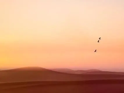 Experiencing The Vastness Of Your Being
