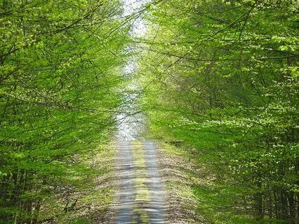 Experiencing What Is