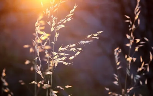 Experiencing Your Inner Child's Needs