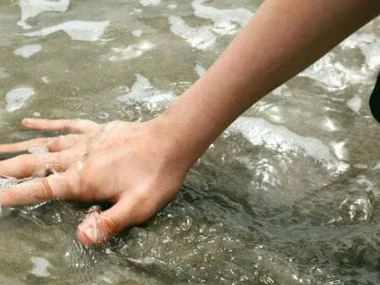 Exploration Of The Senses