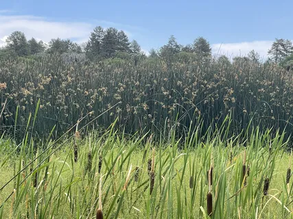 Exploratory Meditation No. 2