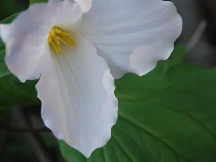 Explore A Character From A Story