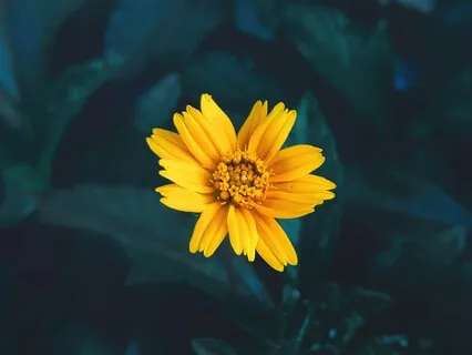 Explore Addiction Cravings Through Sensation Awareness