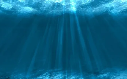 Explore The Depths Of The Sea